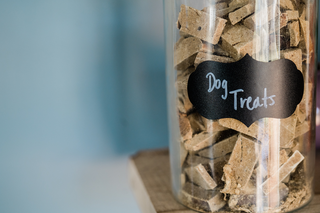 What Are The Benefits Of Raw Freeze Dried Dog Food For Your Dog?