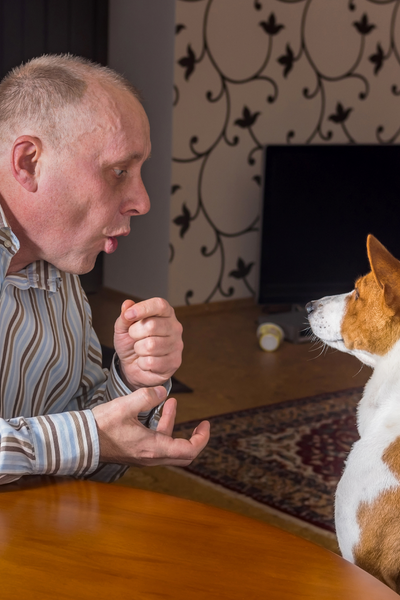Talking To Animals (As Well As Your Pets) Means That You’re Actually A Really Smart Person