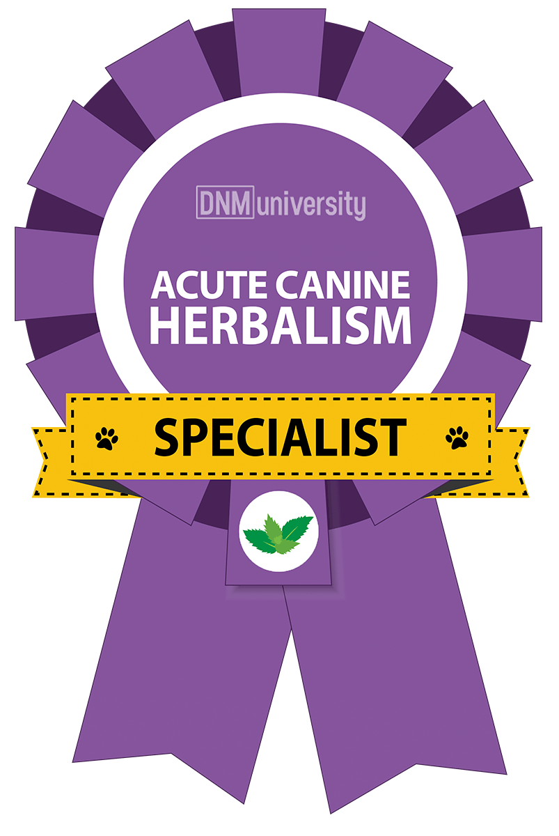 Acute Canine Herbalism