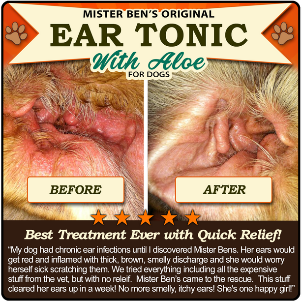 Original Ear Tonic w/Aloe for Dogs