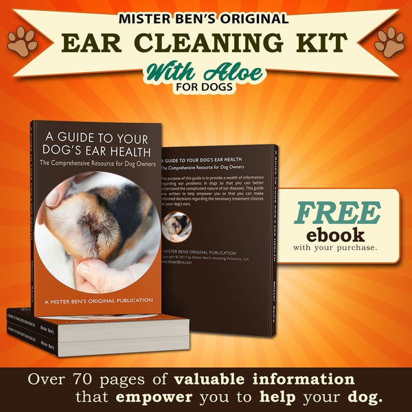 Step-by-Step Master's Guide to Ear Irrigation
